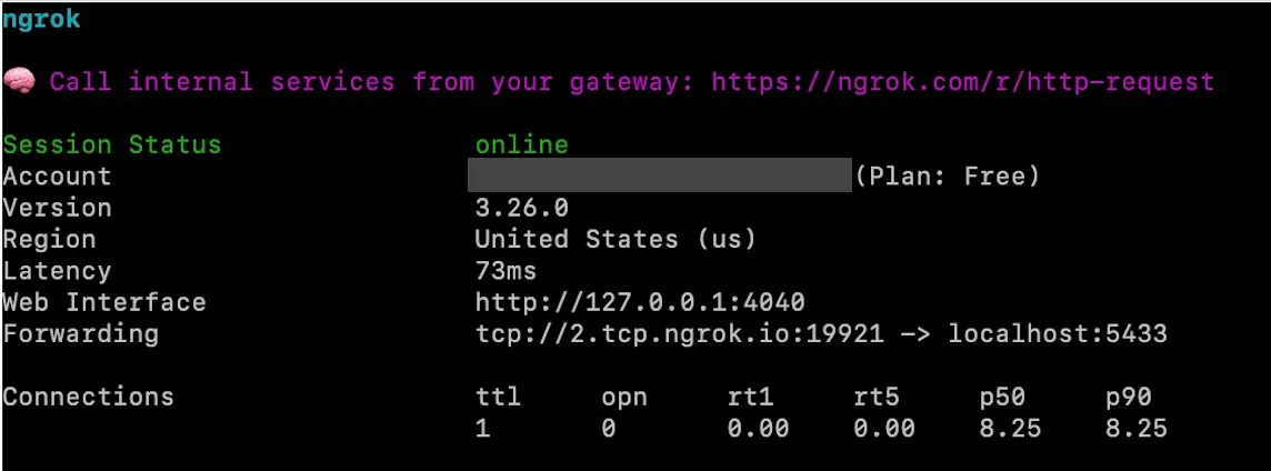 ngrok PostGIS connection details