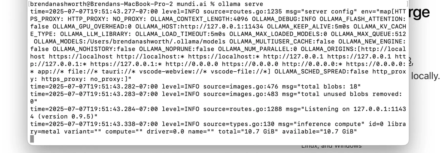 Ollama server logs showing it is running